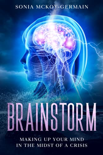 Stock image for Brainstorm: Making Up Your Mind In the Midst of A Crisis for sale by GF Books, Inc.