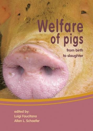 Beispielbild fr Welfare of Pigs: from birth to slaughter zum Verkauf von WorldofBooks