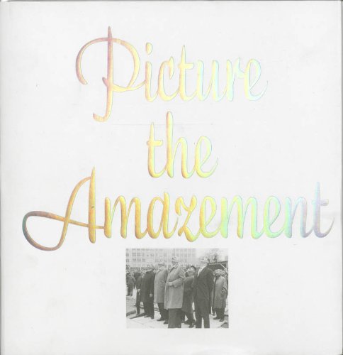 Picture the Amazement (9789086900442) by Frits Gierstberg