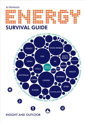 Imagen de archivo de Energy Survival Guide: Insight and Outlook (Aup - Leiden University Press) a la venta por Midtown Scholar Bookstore