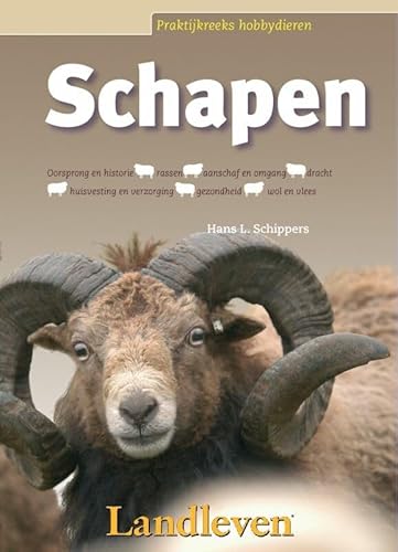 Stock image for Schapen (Praktijkreeks hobbydieren) for sale by Reuseabook
