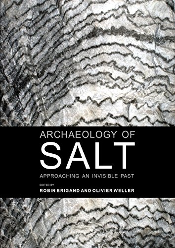 Stock image for Archaeology of Salt : Approaching an Invisible Past for sale by Better World Books