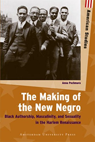 Stock image for The Making of the New Negro: Black Authorship, Masculinity, and Sexuality in the Harlem Renaissance (American Studies) for sale by Midtown Scholar Bookstore