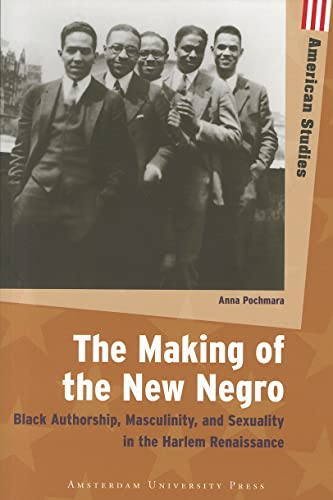 9789089643193: The Making of the New Negro: Black Authorship, Masculinity, and Sexuality in the Harlem Renaissance (Amsterdam University Press: American Studies)