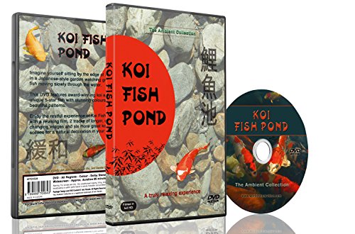 9789089700643: Koi Fish Pond