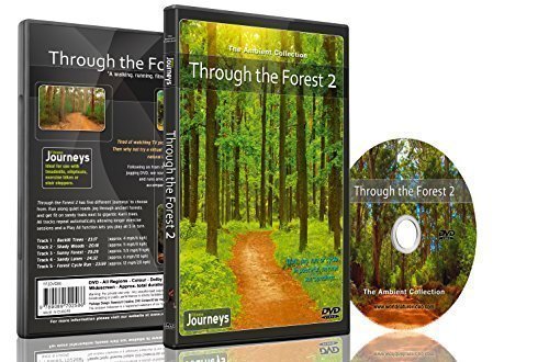 Stock image for Fitness Journeys - Through the Forest 2, for indoor walking, treadmill and cycling workouts for sale by Ezekial Books, LLC