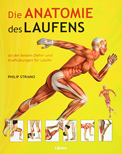 Stock image for Die Anatomie des Laufens: Das Warming-up, Stretching und Cool-down for sale by medimops