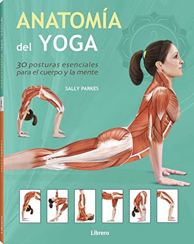 9789089986207: Anatoma del yoga (SIN COLECCION)