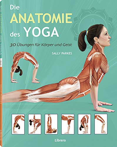 Beispielbild fr Die Anatomie des Yoga zum Verkauf von Blackwell's