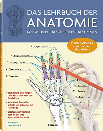 Stock image for Das Lehrbuch der Anatomie for sale by Blackwell's