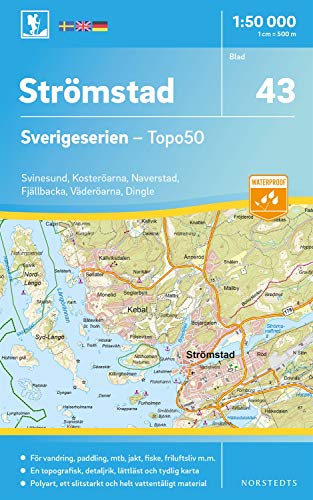 9789113086064: Stromstad (2021)