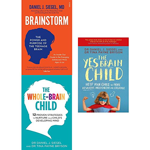 Stock image for Brainstorm, whole brain child and yes brain child 3 books collection set for sale by Books Unplugged