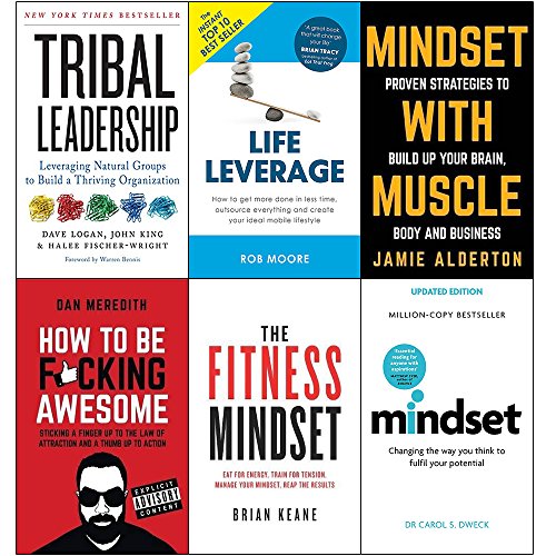 Beispielbild fr Tribal leadership, life leverage, mindset with muscle, how to be fucking awesome, fitness mindset and mindset carol dweck 6 books collection set zum Verkauf von Books Unplugged