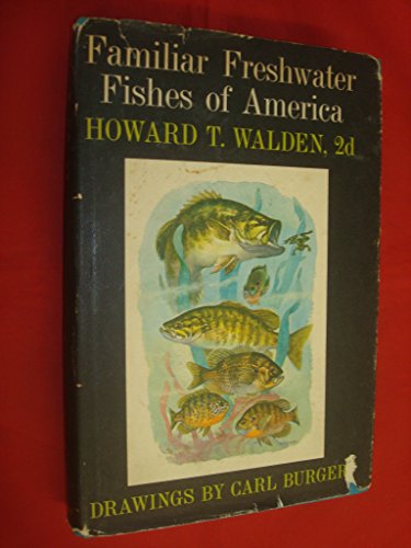 Beispielbild fr FAMILIAR FRESHWATER FISHES OF AMERICA zum Verkauf von Better World Books