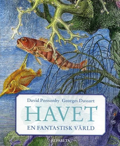 Stock image for Havet : en fantastisk vrld for sale by Hay-on-Wye Booksellers