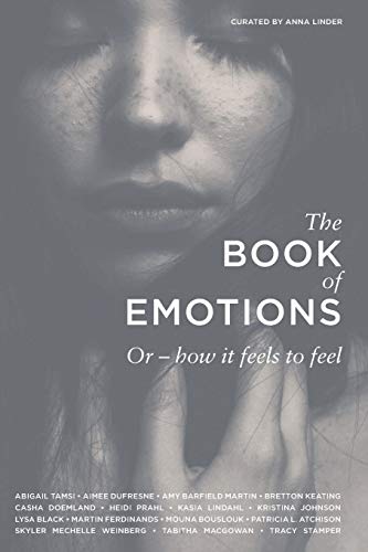 Imagen de archivo de The Book of Emotions: Or how it feels to feel a la venta por Decluttr