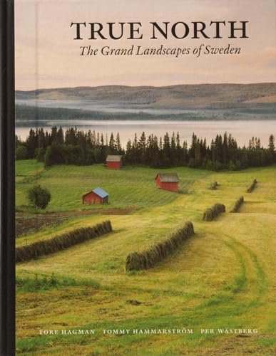 Imagen de archivo de True North: The Grandlandscapes of Sweden a la venta por Wonder Book