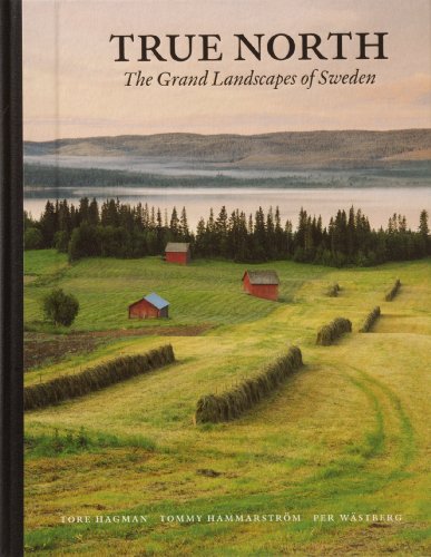 9789171260161: True North: The Grandlandscapes of Sweden