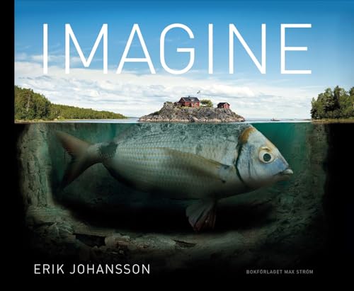 Beispielbild fr Erik Johansson Imagine /anglais zum Verkauf von Books Unplugged