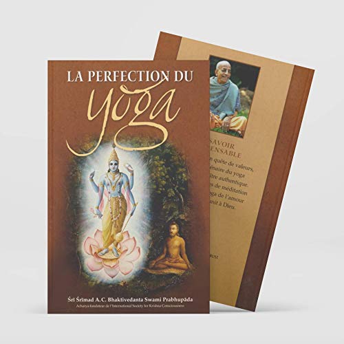 Imagen de archivo de La Perfection du Yoga (en francais) 2015 a la venta por Ammareal