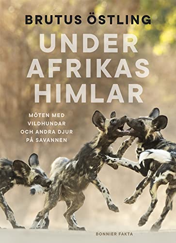 Stock image for Under Afrikas himlar : mten med vildhundar och andra djur p savannen for sale by Pangloss antikvariat & text.