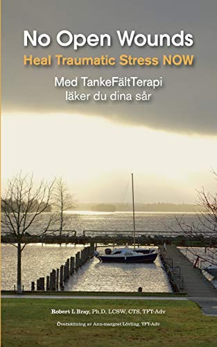 9789174631708: NOW No Open Wounds: Med TankeFltTerapi lker du dina sr (Swedish Edition)