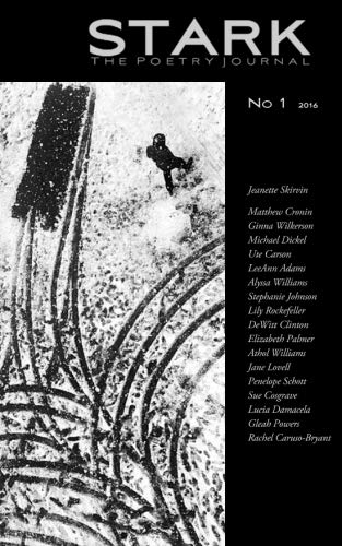 9789176371961: STARK - The Poetry Journal - No 1 / 2016