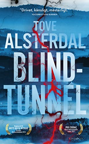 Beispielbild fr Blindtunnel zum Verkauf von WorldofBooks