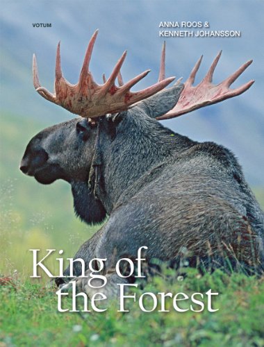 9789185815548: The King of the Forest