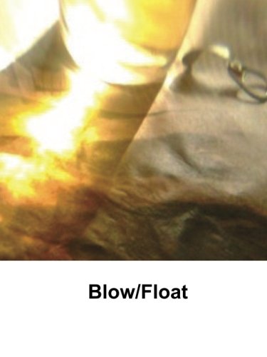 Imagen de archivo de Blow/Float (Modes) a la venta por Revaluation Books