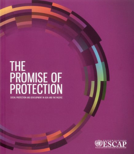 Stock image for The Promise of Protection: Social Protection and Development in Asia and the Pacific for sale by medimops