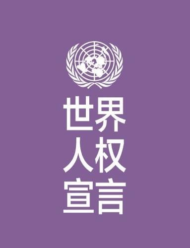 Stock image for Universal Declaration of Human Rights (Chinese language) for sale by PBShop.store US