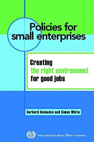 Imagen de archivo de Policies for Small Enterprises: Creating The Right Environment For Good Jobs a la venta por Zubal-Books, Since 1961