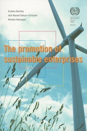 9789221212003: The promotion of sustainable enterprises: Graeme Buckley, Michael Henriques and Jose-Manuel Salazar-Xirinachs