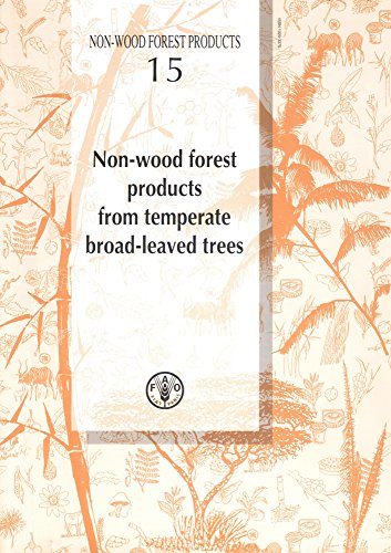 Stock image for Non-Wood Forest Products from Temperate Broad-Leaved Trees for sale by Wonder Book