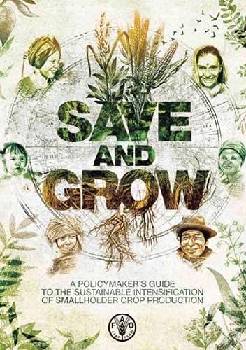 Stock image for Save and Grow: A Policy Makers Guide to the Sustainable Intensification of Smallholder Crop Production for sale by Ergodebooks