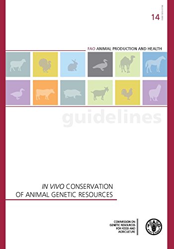 Beispielbild fr In Vivo Conservation of Animal Genetic Resources (Fao Animal Production and Health Guidelines) zum Verkauf von medimops