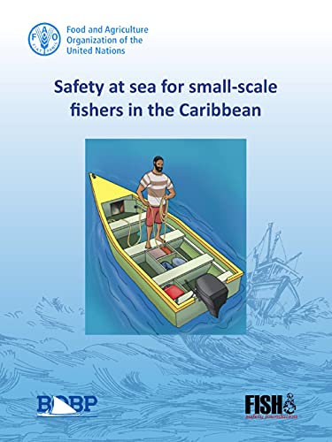 Stock image for Safety at Sea for Small-Scale Fishers in the Caribbean for sale by Chiron Media
