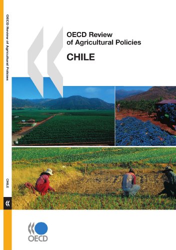 Stock image for OECD Review of Agricultural Policies OECD Review of Agricultural Policies: Chile 2008 (SANS COLL - OCDE) for sale by Mispah books