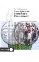 9789264195059: The Dac Guidelines: Strategies for Sustainable Development : Guidance for Development Co-Operation