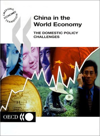 Stock image for China in the World Economy: The Domestic Policy Challenges (Emerging Economies Transition) for sale by AwesomeBooks