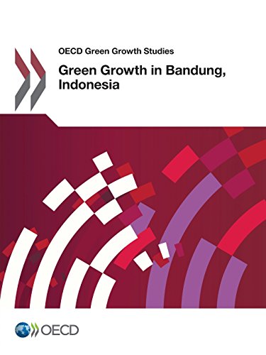 Stock image for Green Growth in Bandung, Indonesia (OECD Green Growth Studies) for sale by dsmbooks