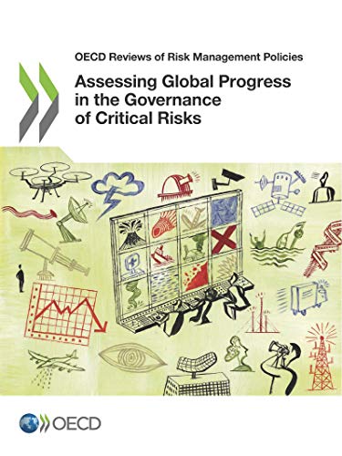 Beispielbild fr Assessing Global Progress in the Governance of Critical Risks (OECD reviews of risk management policies) zum Verkauf von WeBuyBooks