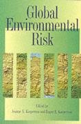 Stock image for Global Environmental Risk for sale by HPB-Red