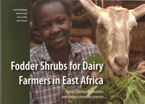 9789290591832: fodder-shrubs-for-dairy-farmers-in-east-africa-making-extension-decisions-and-putting-them-into-prac