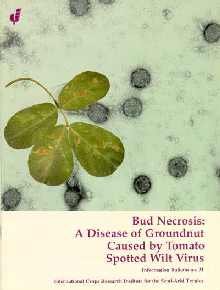 Stock image for Bud Necrosis: A Disease of Groundnut Caused By Tomato Spotted Wilt Virus for sale by Bookworm Books