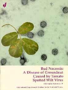 9789290661955: Bud Necrosis: Disease of Groundnut Caused by Tomato Spotted Wilt Virus