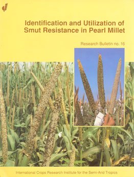 Stock image for Identification and Utilization of Smut Resistance in Pearl Millet for sale by Books Puddle