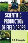 Stock image for Scientific Production of Field Crops for sale by Books Puddle