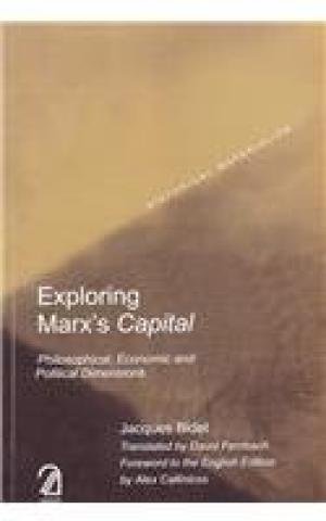 Beispielbild fr Exploring Marx's Capital zum Verkauf von Majestic Books